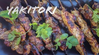 Japanese Chicken Yakitori Recipe  Pork belly Yakitori Skewers [upl. by Ecire558]