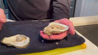 Oyster shucking at home two ways [upl. by Lemert643]