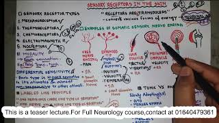 Sensory Receptors  Neurophysiology  NEUROLOGY  Bangla [upl. by Ativad]