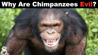 The Terrifying Truth About Chimpanzees [upl. by Ecylla]