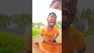 Must Watch tui tui fun New Special Comedy Video 2024 😎Totally Amazing Comedy funny busy fun ltd [upl. by Eoin481]