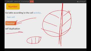 Membranous organelle Mitochondria [upl. by Akemit]