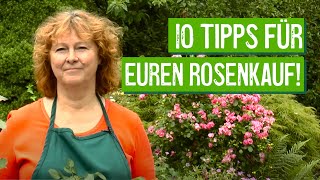 10 Tipps für den Rosenkauf  Der Grüne Tipp [upl. by Salangia]