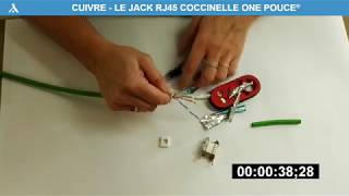 VIDEO RJ45 COCCINELLE ONE POUCE FFTP TEMPS REEL [upl. by Wistrup]