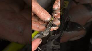 67 Ford Powerstroke Engine Tear Down Got a mystery part inside oil pan [upl. by Ayerf]