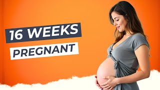 16 Weeks Pregnant What to Expect and How to Prepare [upl. by Lupee]