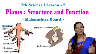 7th Science  Chapter 2  Plants  Structure and Function  Part 12  NCERT Maharashtra Board [upl. by Muldon241]