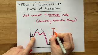 Effect of Catalyst on Rate of Reaction Explained with Potential Energy Diagram [upl. by Storfer128]