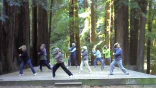 Qigong In the Park [upl. by Yeaton155]