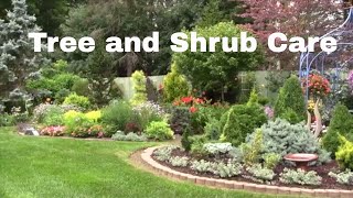 How to Keep Your Trees and Shrubs Healthy [upl. by Eeram]