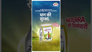 ENHANCE your paddy Protection with NATERRA  NATERRA से अपनी धान की फसल की सुरक्षा बढ़ाएँ [upl. by Agem]