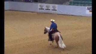 Rietta de Niro 3years old  quarter horses [upl. by Drogin]