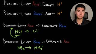 Bronsted Lowry Acids and Bases [upl. by Melliw]