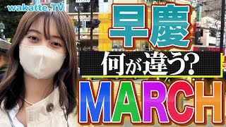 【本音】早慶とMARCHの差とは？偏差値だけじゃない！就活でも格差が凄すぎた！【wakatte TV】847 [upl. by Anirahc]