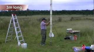 3m tall water rocket [upl. by Torry]