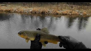 MN Trout Fishing  112024 CampR Opener [upl. by Swaine]