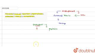 The endodermal cells have few transport proteins embedded in their plasma membrane [upl. by Anaeerb]