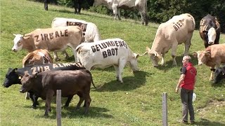 Urlaub in der Region Villach  Sport Spaß und Action auf der Gerlitzen [upl. by Ruthann]