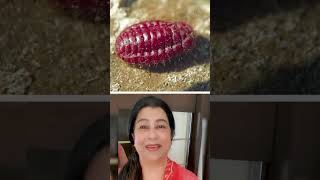 Lipstick Made from Insects A Shocking Truth shorts [upl. by Brinna]