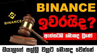 Is Binance over  Binance Safe or Not  Funds are SAFU   Sinhala [upl. by Katalin596]