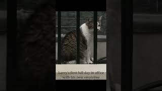 His first day with his new boss  Larry the Dowing Street cat [upl. by Cormier]