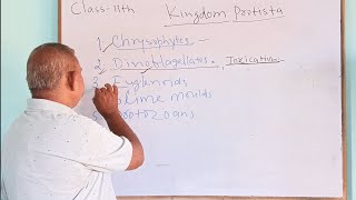 KingdomProtistapart1Class11th biologyJM Bio ClassesNCERT explanation Lecture 43 [upl. by Beall]