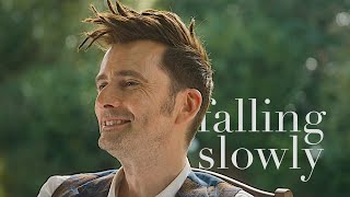 fourteenth doctor  falling slowly [upl. by Aneej]