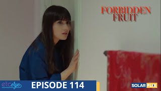 Forbidden Fruit Episode 114  FULL EPISODE  TAGALOG DUB  Turkish Drama [upl. by Nibor]