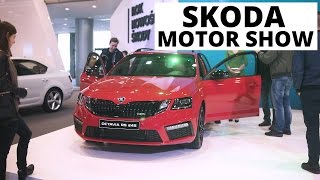 Skoda  Motor Show 2017 [upl. by Eimmit271]