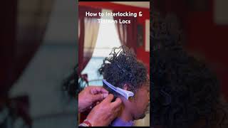 How to Interlock Locs Using the Y Technique dreadlocks interlockingdreadlocks [upl. by Pears930]