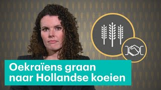 Hoe het Oekraïense graan vooral naar koeien ging • Z zoekt uit [upl. by Brandtr]