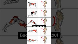 5 Simple Exercises to Relieve Lower Back Pain amp workout relievepain relievestress [upl. by Tyrrell]