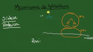 Mecanismos de Antibióticos e Resistência Bacteriana  Resumo  Microbiologia [upl. by Nahtiek545]