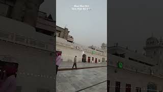 Shri Tarn Taran Darbar Sahib🙏🏻wahegurusimran tarntaransahib gurbani waheguru [upl. by Allemap]