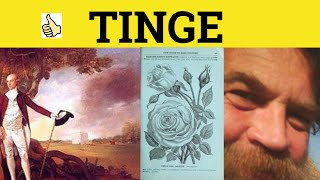 🔵 Tinge Meaning  Tinged Examples  Tinge Definition  Tinged Explained  Tinge Defined  GRE [upl. by Nylcoj]