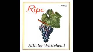 Allister Whitehead  Ripe Mixmag Party  15121995  Track list In Description Below [upl. by Nnylodnewg]