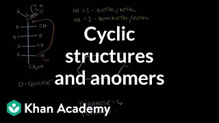 Carbohydrates  Cyclic structures and anomers  Chemical processes  MCAT  Khan Academy [upl. by Zacharie895]