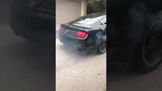 1968 Ford Mustang Bullitt ReCreation SOLD [upl. by Brink143]