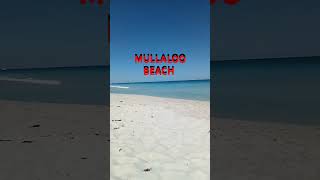 MULLALOO BEACH PERTH AUSTRALIA reggae bobmarley music highlights [upl. by Lussi810]