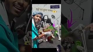 haadi 💀का कुत्ता हुआ😱😱 comedy shorts funny 🤣🤣 [upl. by Moishe]