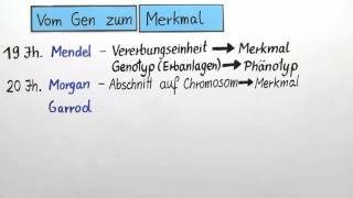 Merkmalsausprägung  Biologie  Genetik [upl. by Yzdnil315]