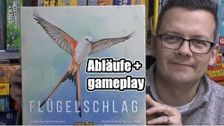 Flügelschlag Feuerland Teil 1 Abläufe  gameplay  Kennerspiel des Jahres 2019 [upl. by Nelyaw]