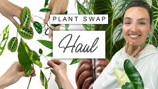 Come Plant Swapping With Me 🌱 RARE House Plant Haul [upl. by Bink423]