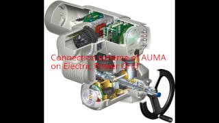 What is AUMA Connection scheme to power grid [upl. by Ellenehc]