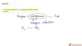 The exzyme nitrogenase which is capable of nitrogen reduction present in [upl. by Atiuqram]