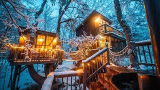 Magical Treehouse with a Wood Fired Hot Tub [upl. by Atiuqehs915]