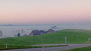 Nebel Impressionen [upl. by Aihsein463]