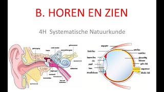 5H samenvatting katern Horen en zien deel 1 [upl. by Eidac297]