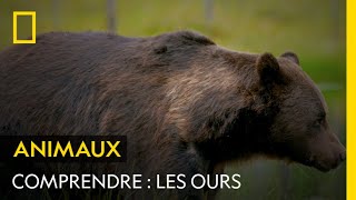 COMPRENDRE  Les ours [upl. by Smith]