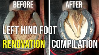 Satisfying Horse Hoof Restoration Compilation  Left Hind Foot  ASMR CRAFTSMEN [upl. by Delila]